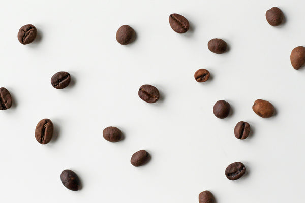 Unveiling the Aromatic World of Grounded Coffee: From Beans to Body