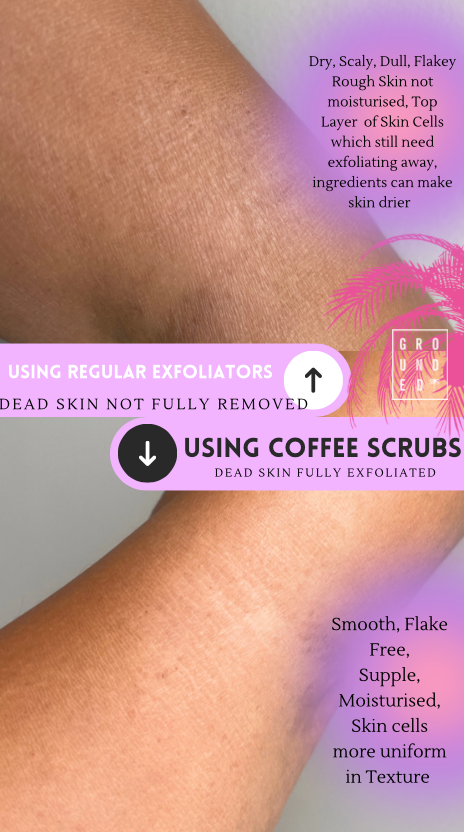 Grapefruit Coffee Full Body Scrub - For Dry Skin