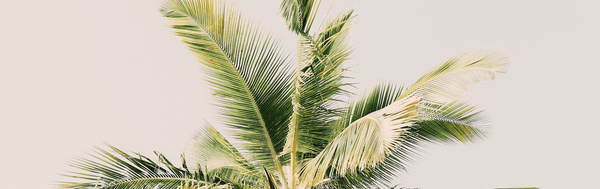 Setting up your own Facebook and Instagram - Grounded Body