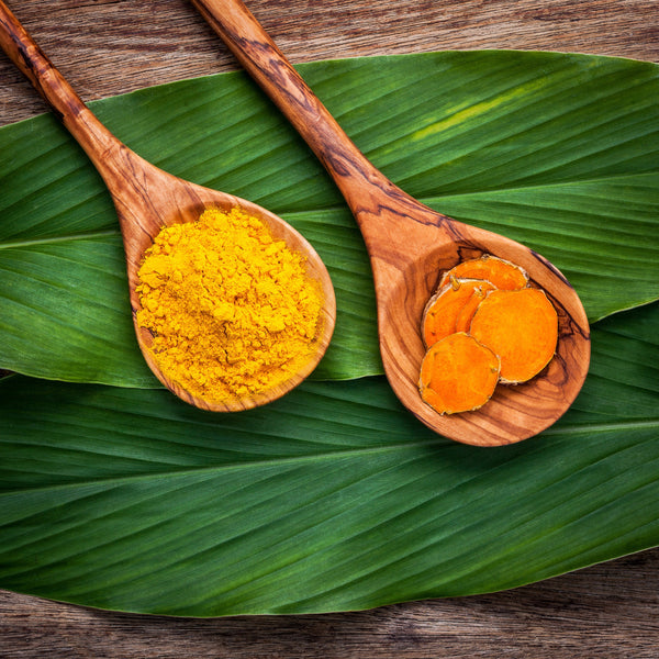 The Golden Power of Turmeric: Everything You Need to Know | Grounded Body Scrub