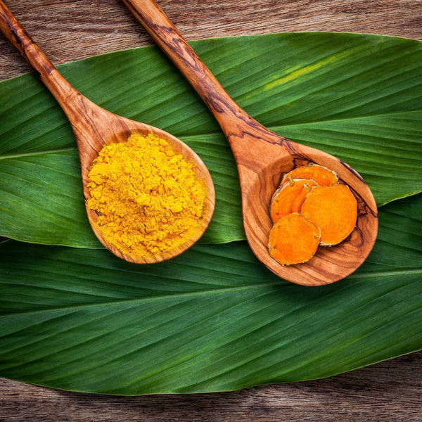 The Golden Power of Turmeric: Everything You Need to Know | Grounded Body Scrub - Grounded Body